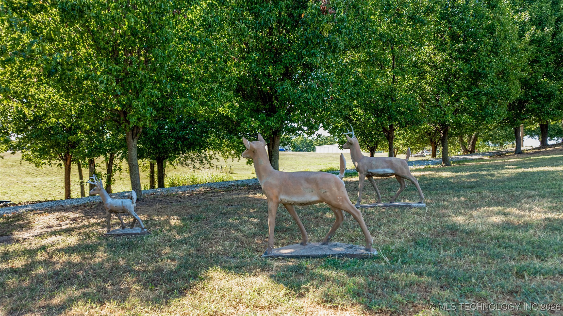 31964 Dogwood Circle Property Photo 43