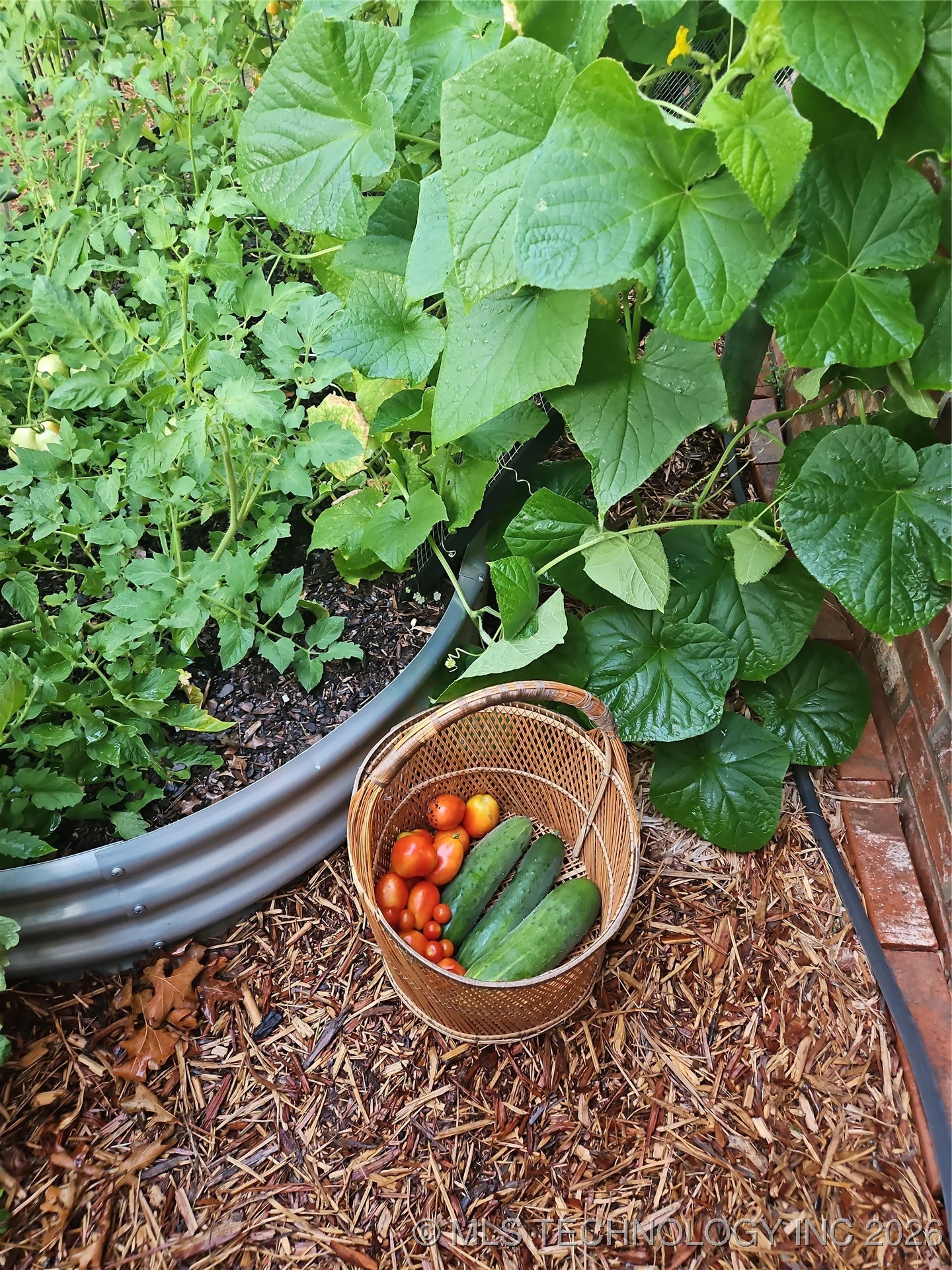 504 Oak Ridge Drive Property Photo 37