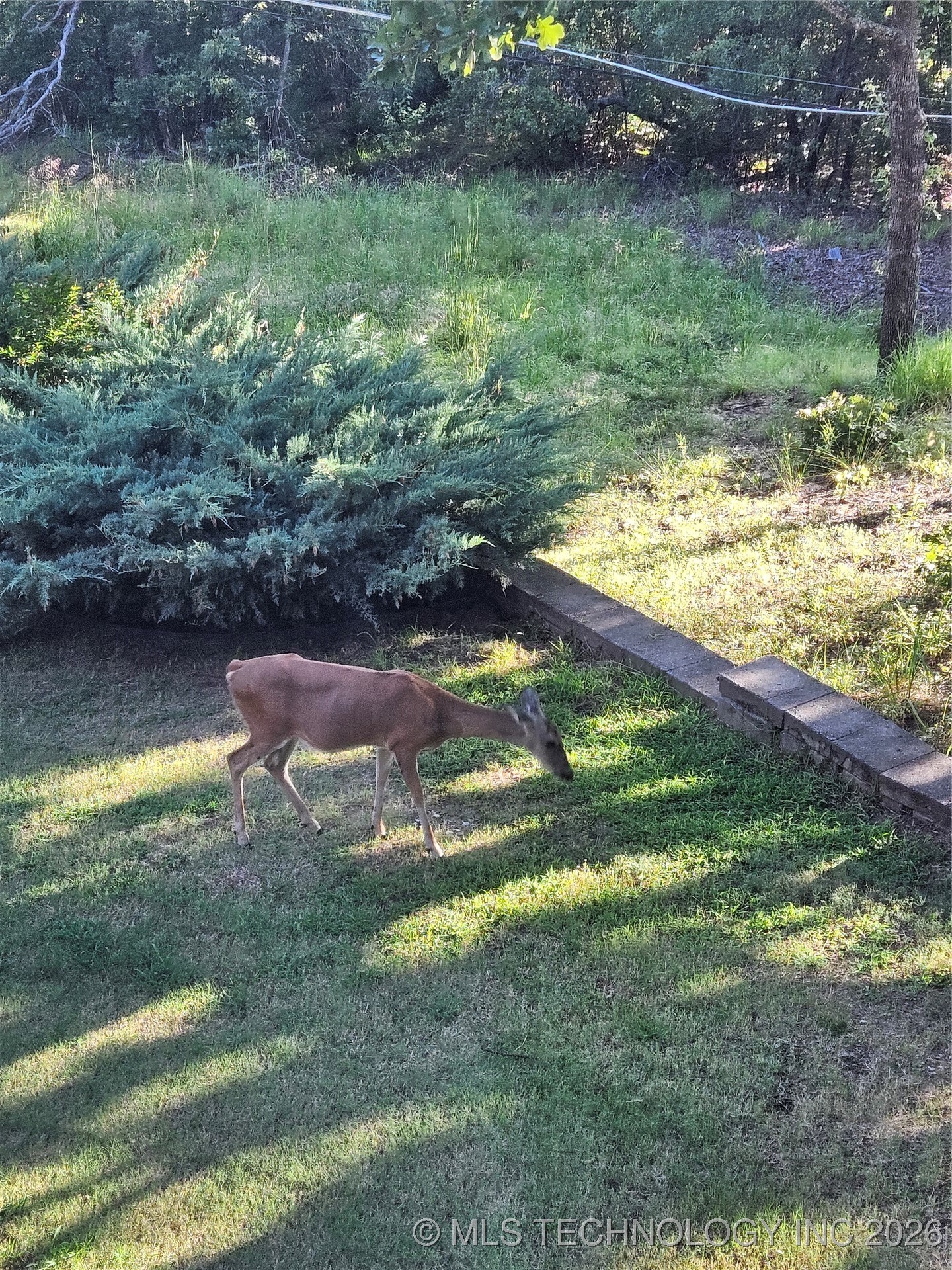 504 Oak Ridge Drive Property Photo 38