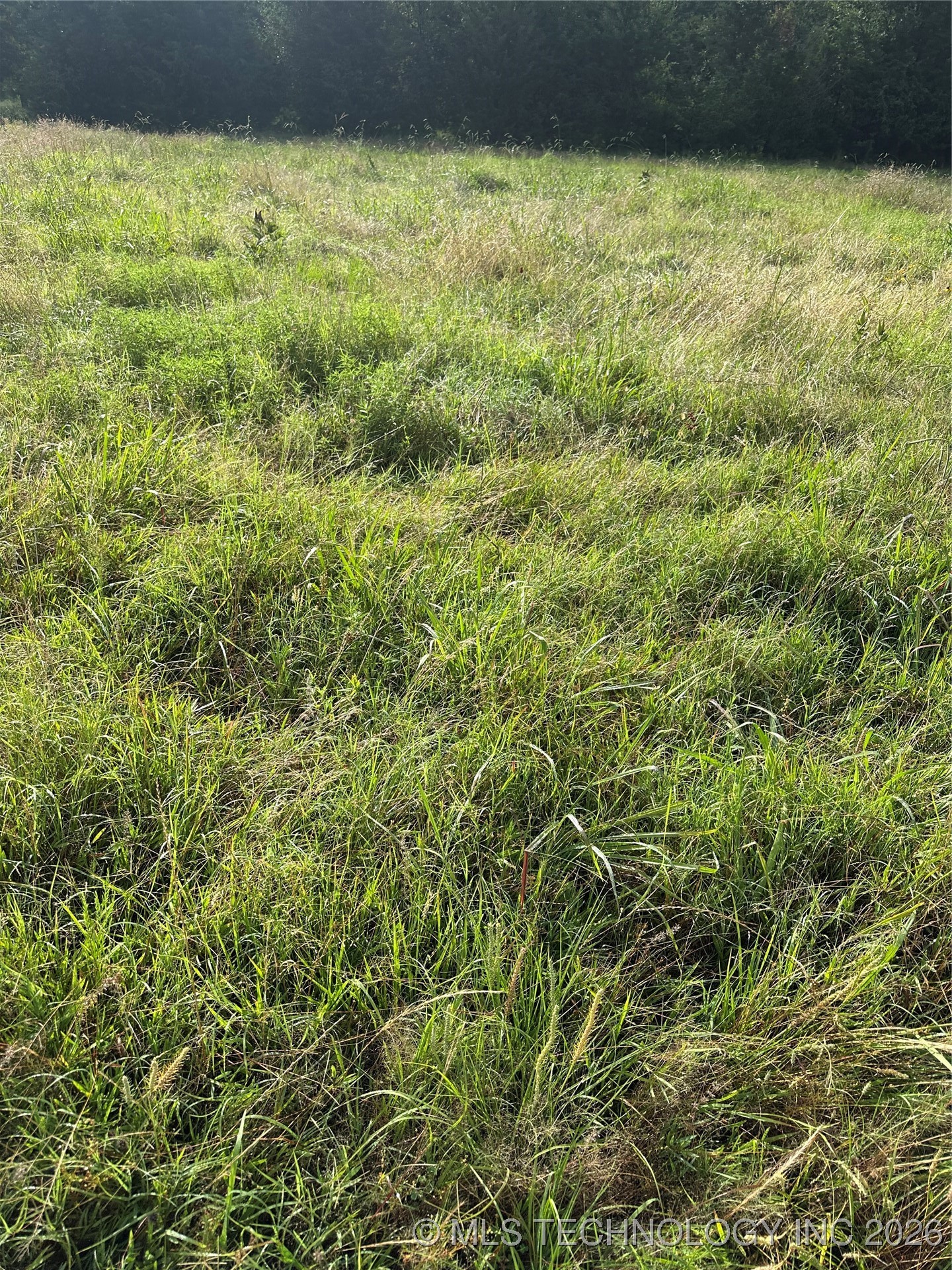 001 Shoe Make Property Photo 17