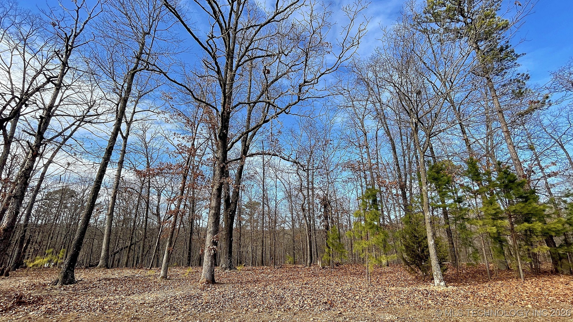 2145 Deer Lake Drive Property Photo 1