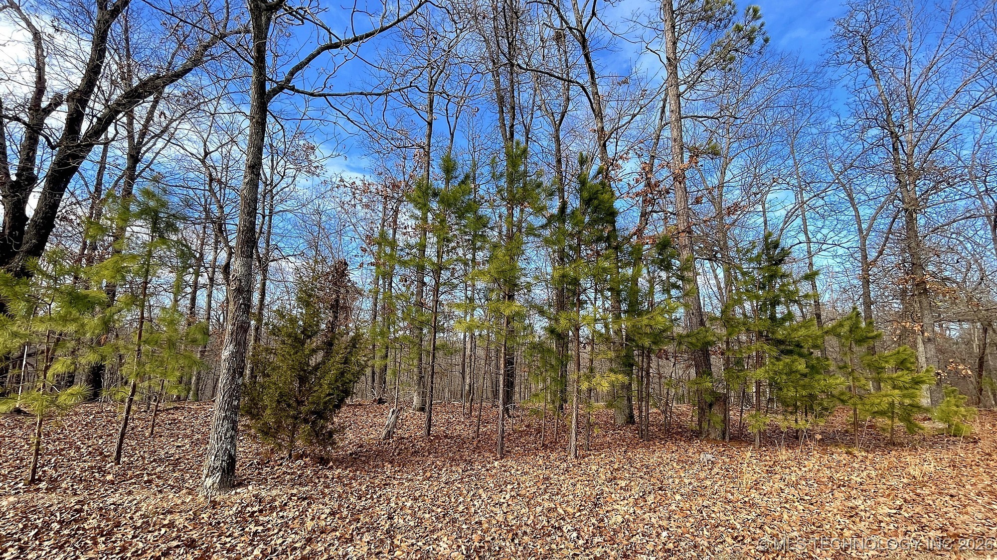 2145 Deer Lake Drive Property Photo 2