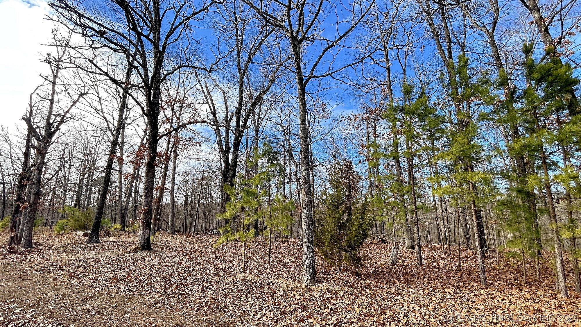 2145 Deer Lake Drive Property Photo 3