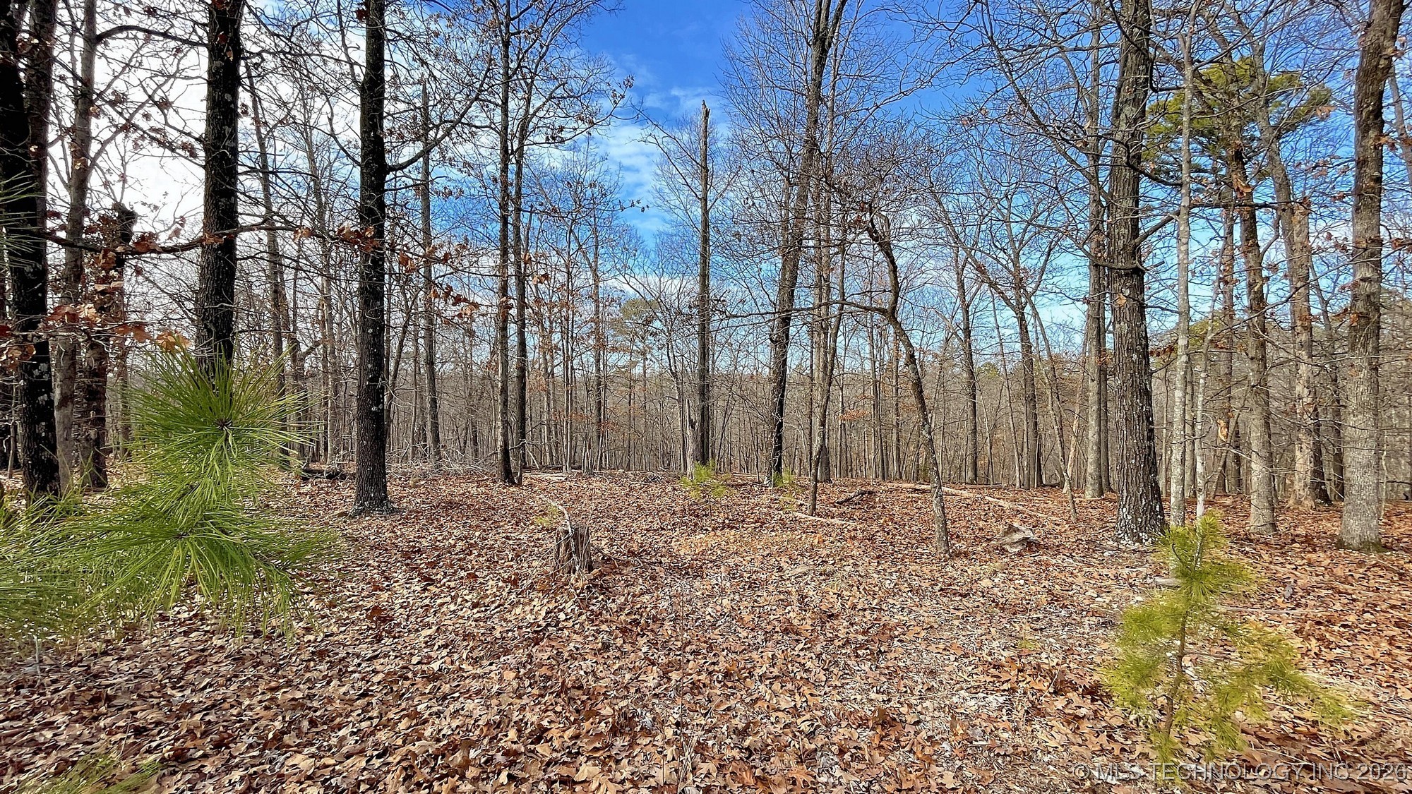 2145 Deer Lake Drive Property Photo 4