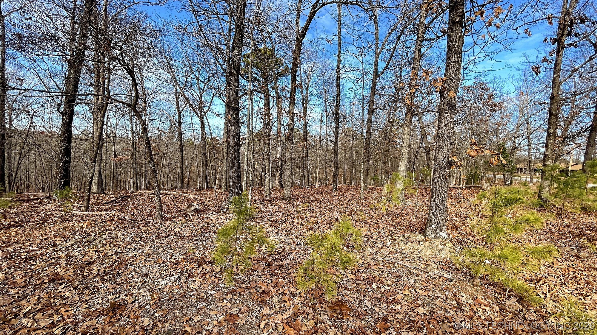 2145 Deer Lake Drive Property Photo 5