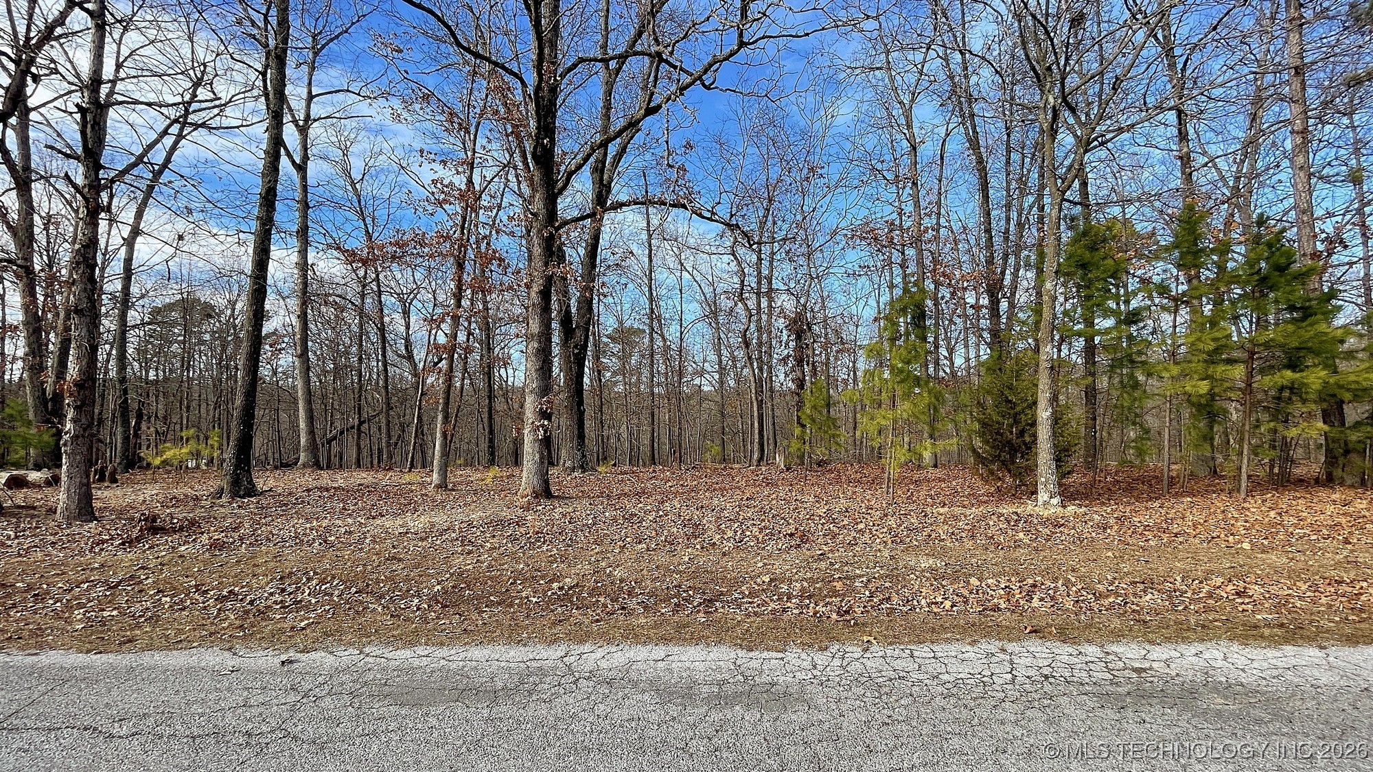 2145 Deer Lake Drive Property Photo 7