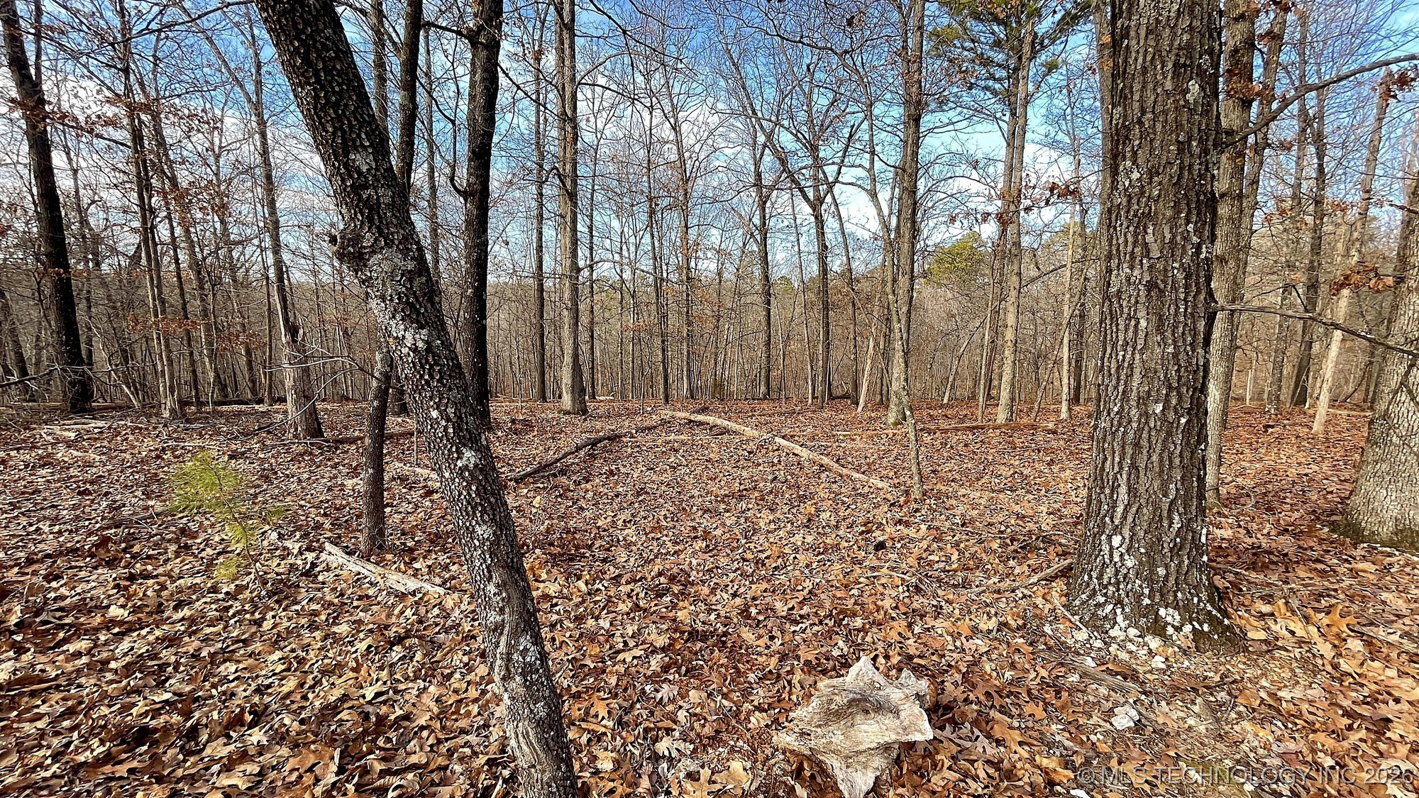 2145 Deer Lake Drive Property Photo 8