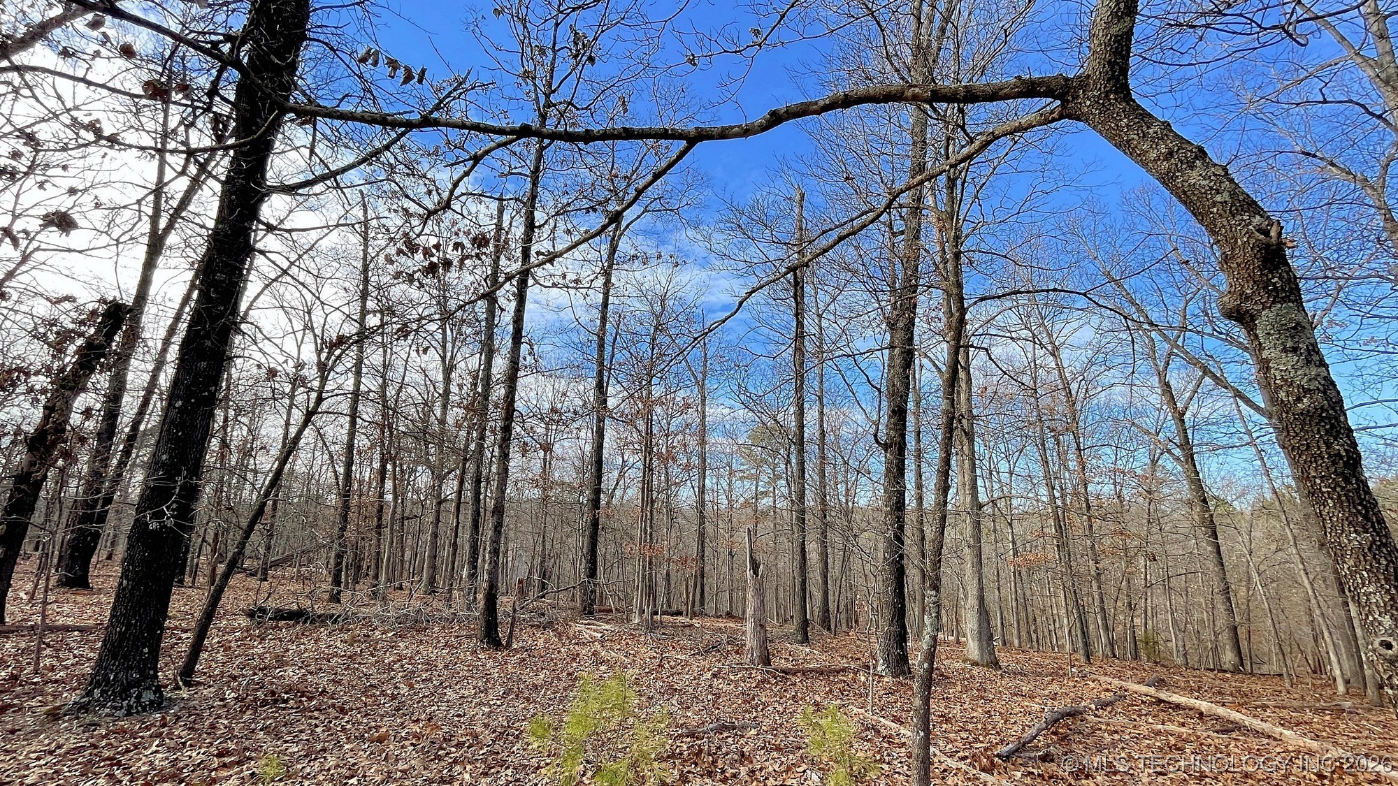 2145 Deer Lake Drive Property Photo 10