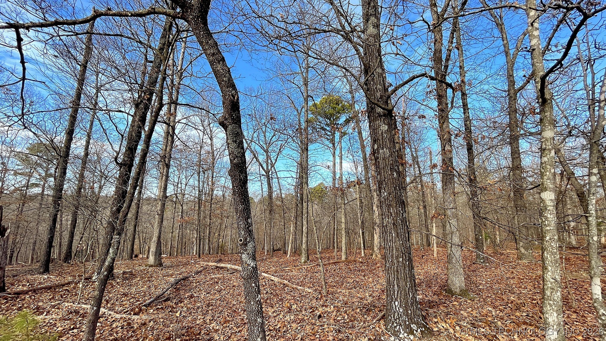 2145 Deer Lake Drive Property Photo 11