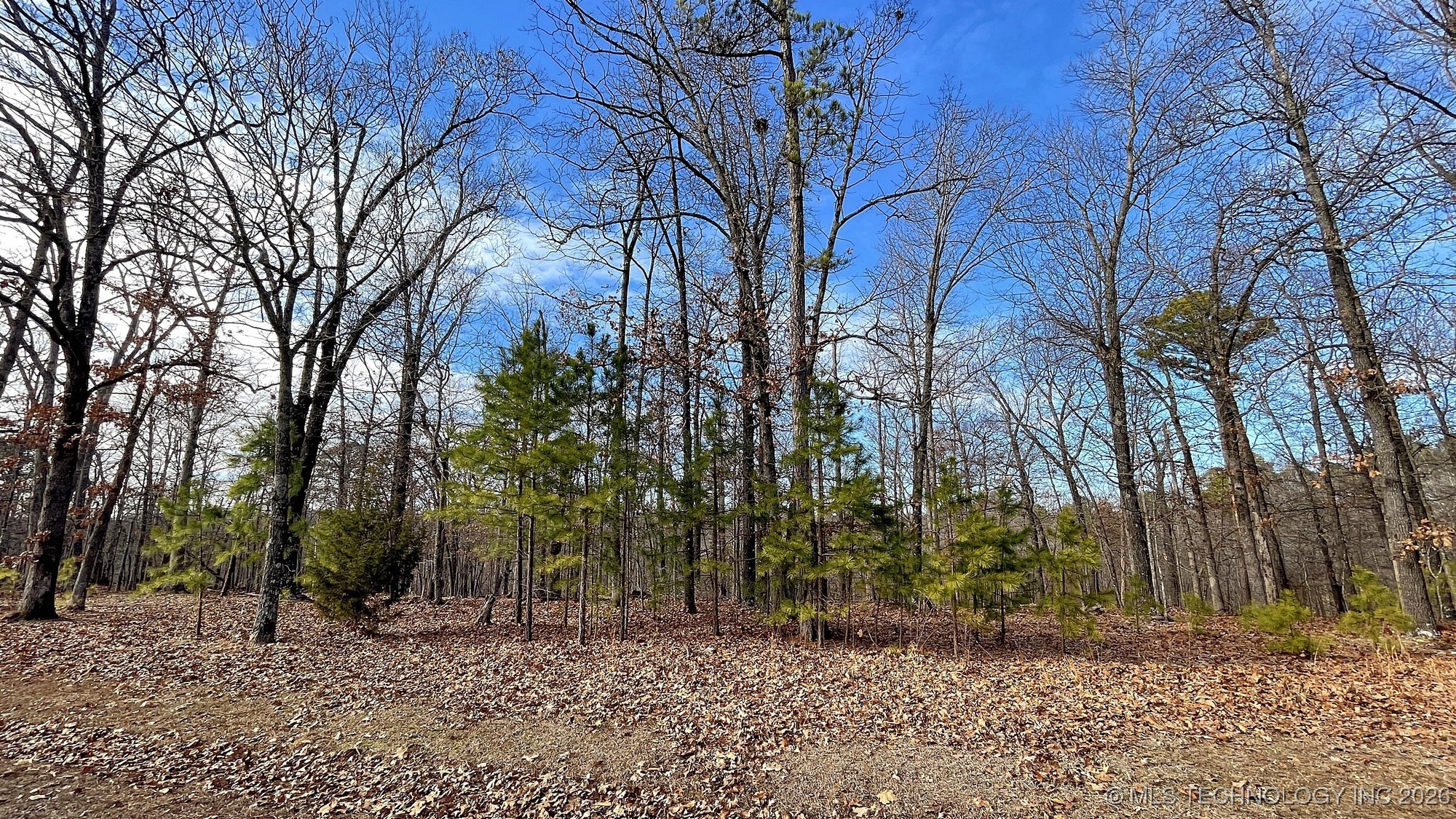 2145 Deer Lake Drive Property Photo 12