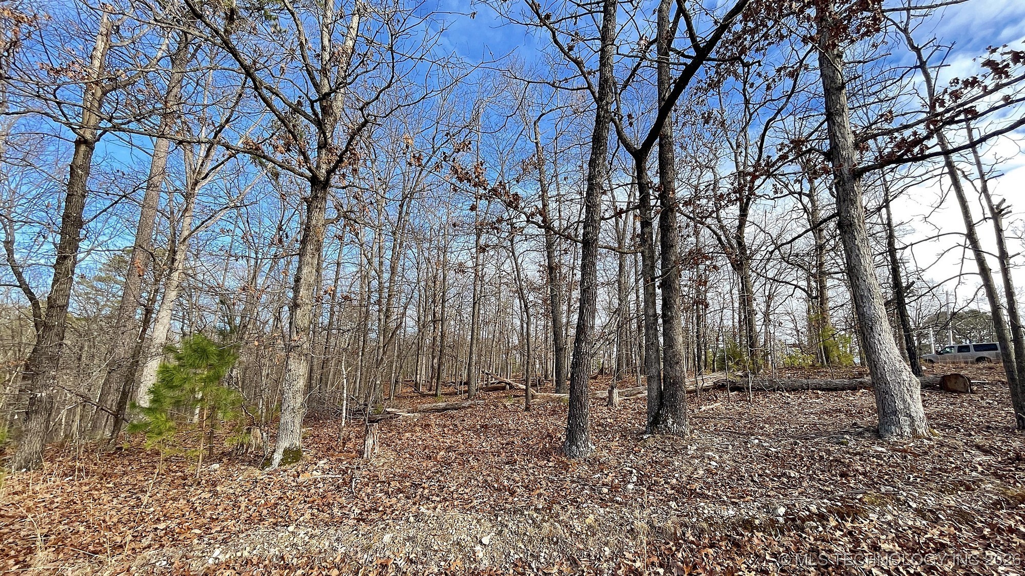 2145 Deer Lake Drive Property Photo 13