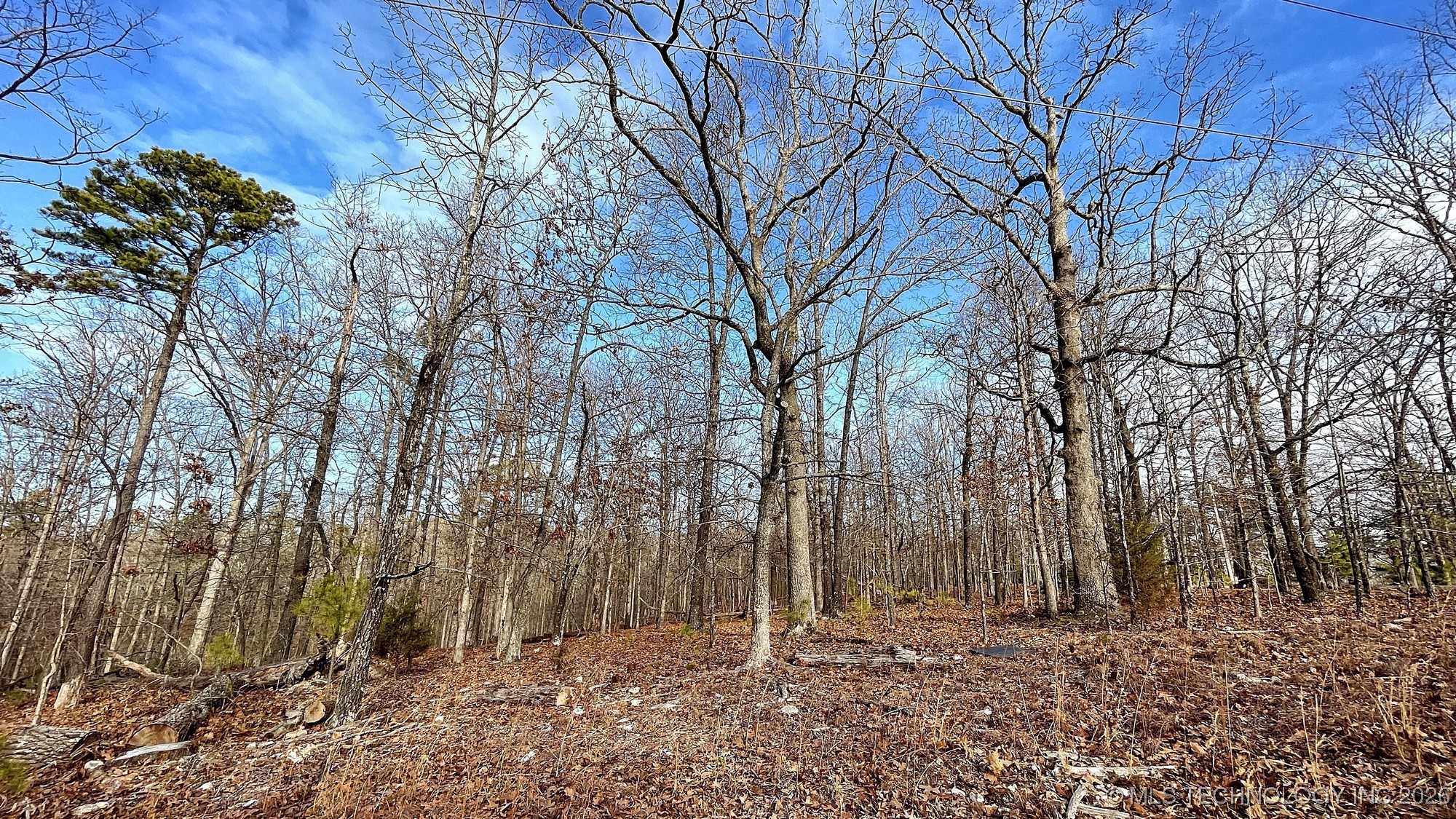 2145 Deer Lake Drive Property Photo 14