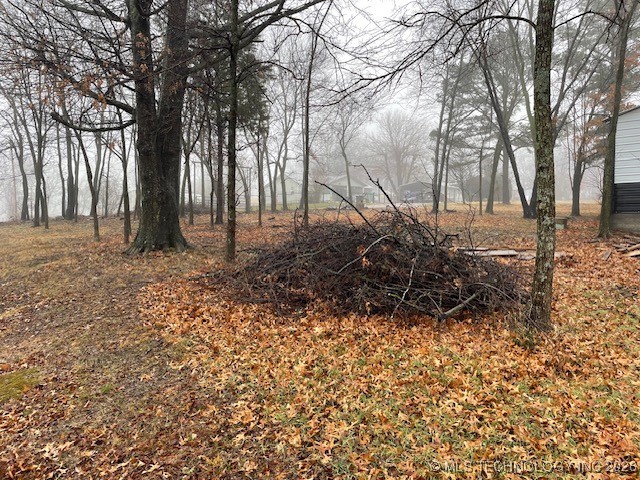 32145 E 738 Road Property Photo 6