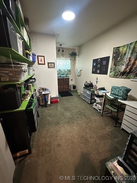 3377 County Road 3790 Property Photo 28