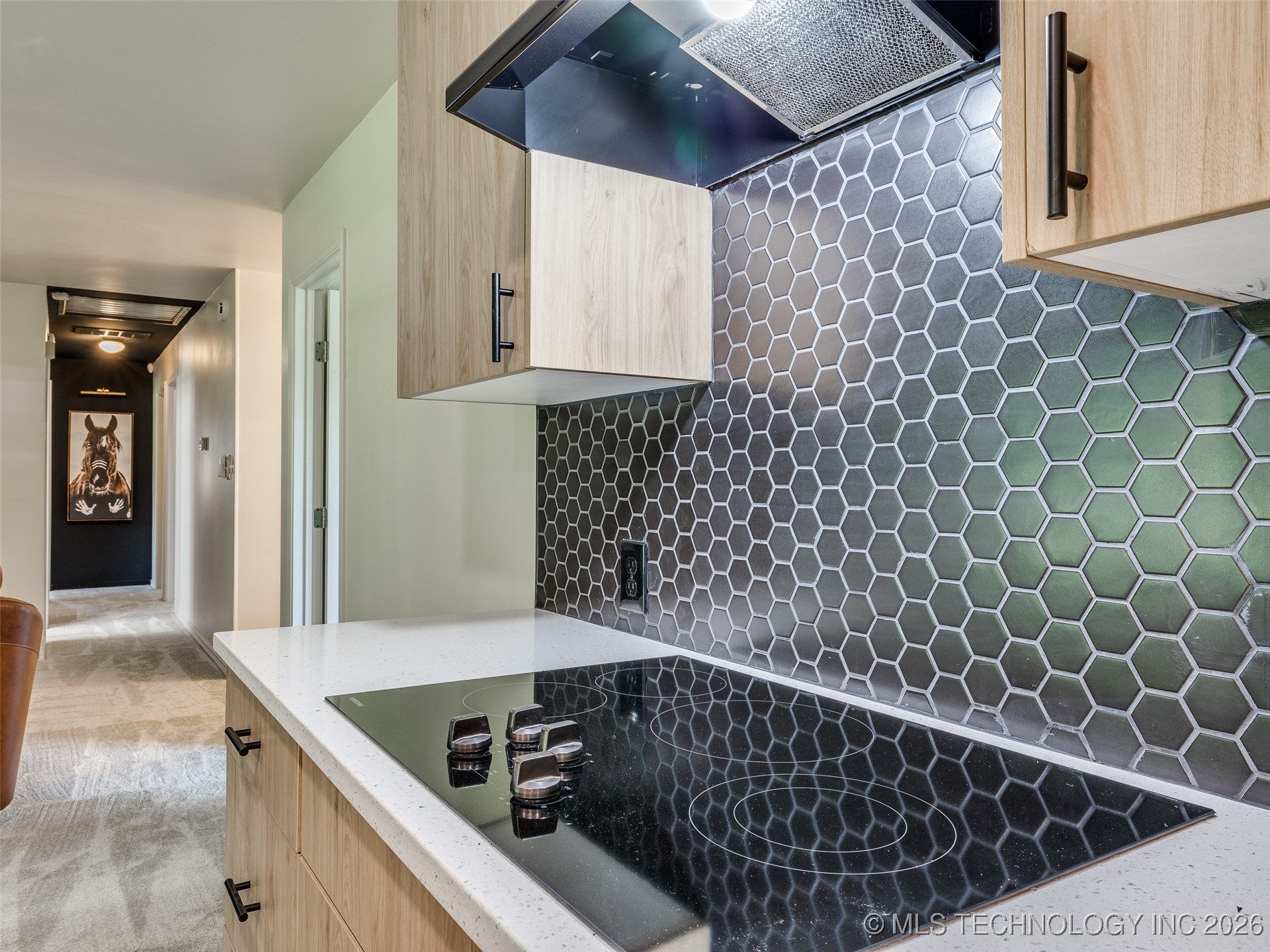 701 W 41st Street Property Photo 21