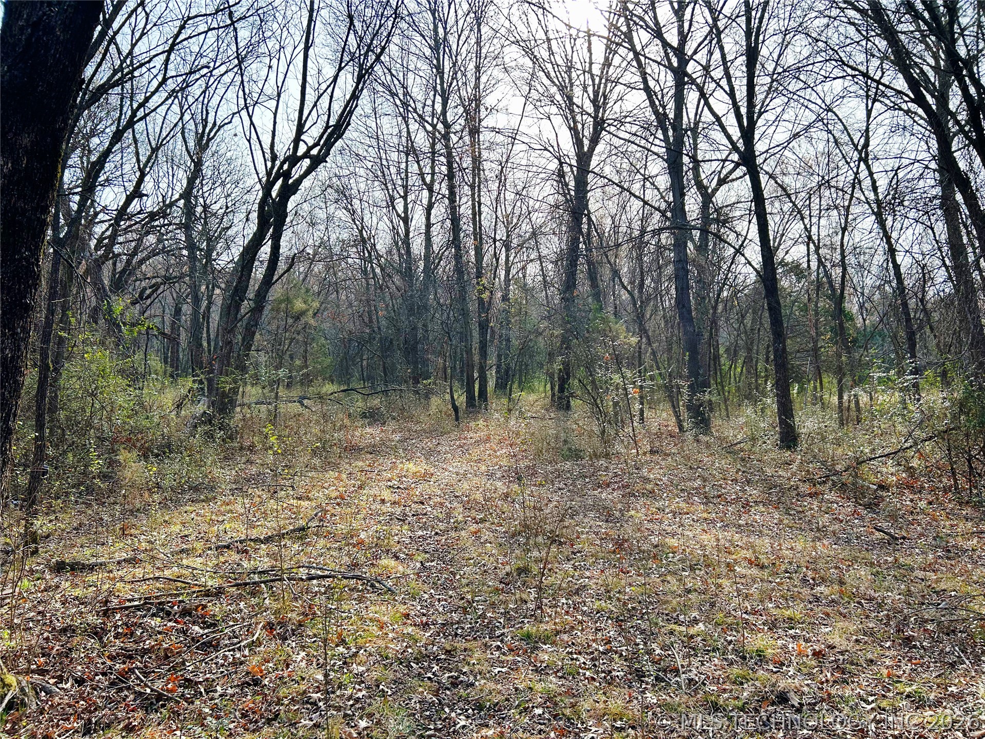 Palm Avenue Property Photo 10