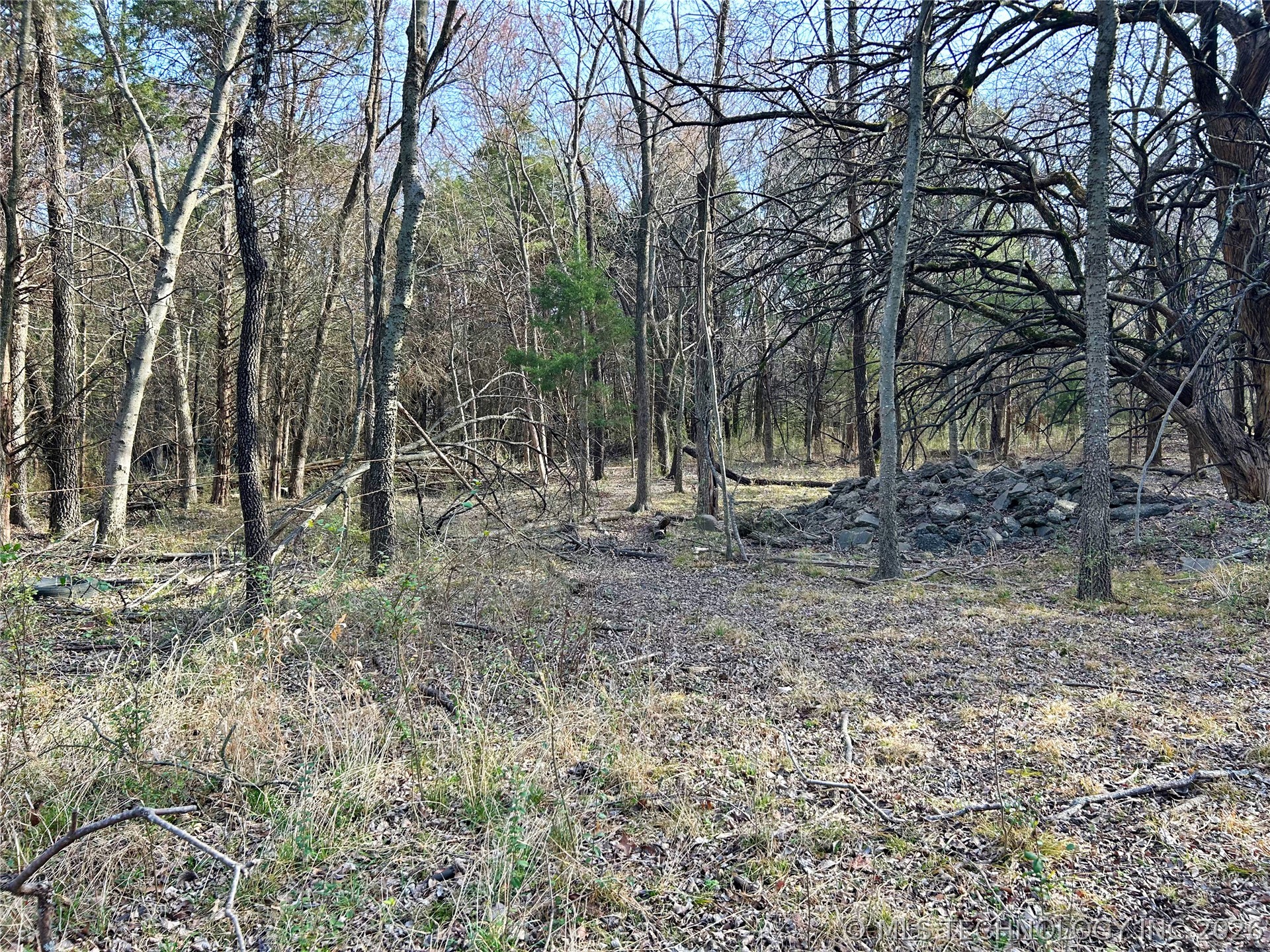 Palm Avenue Property Photo 11
