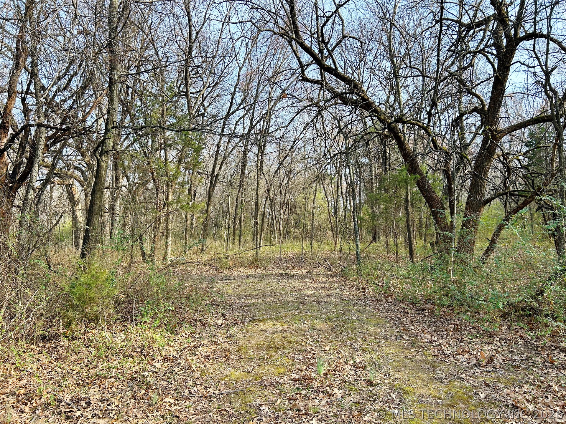 Palm Avenue Property Photo 12