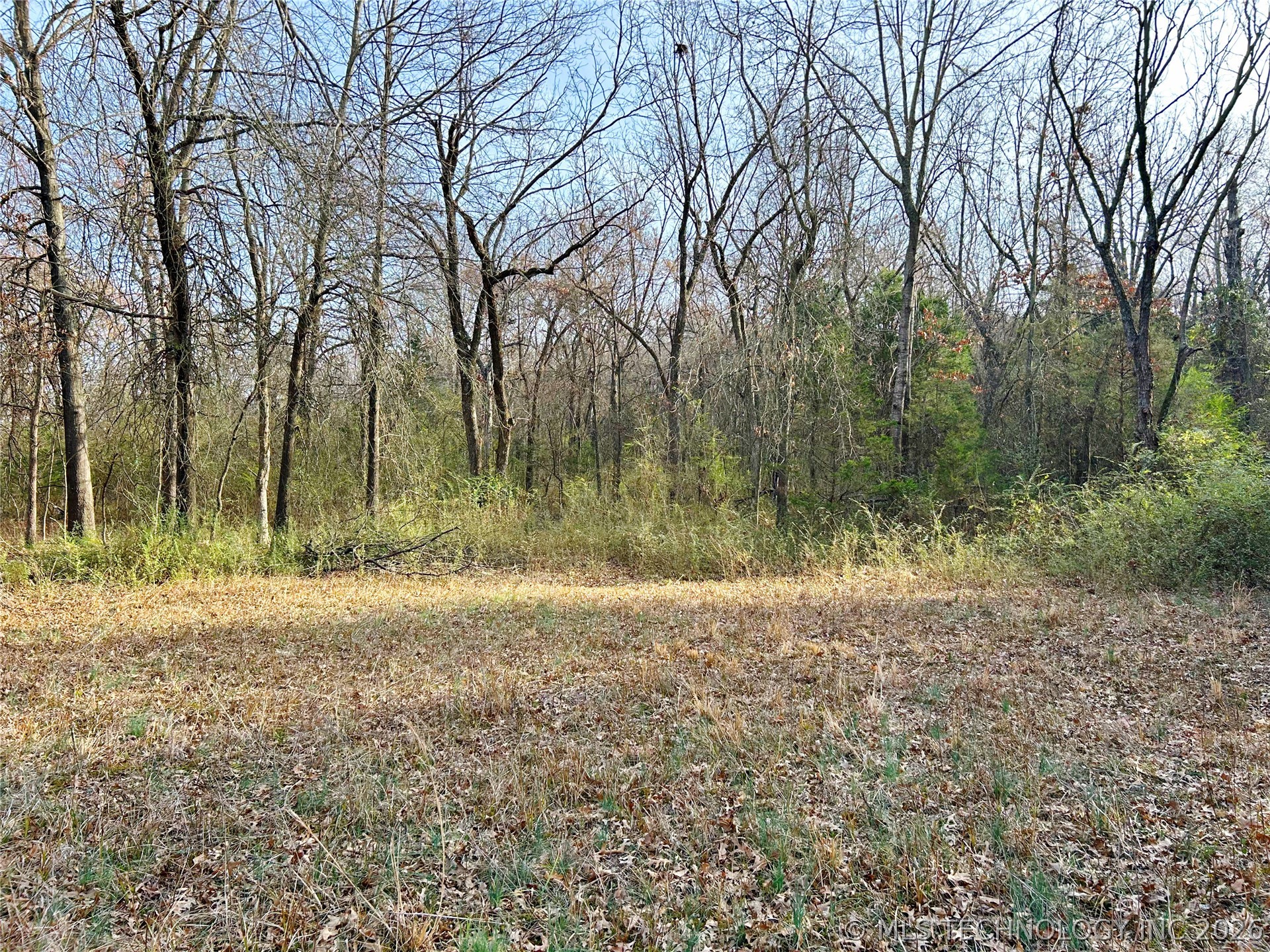 Palm Avenue Property Photo 13