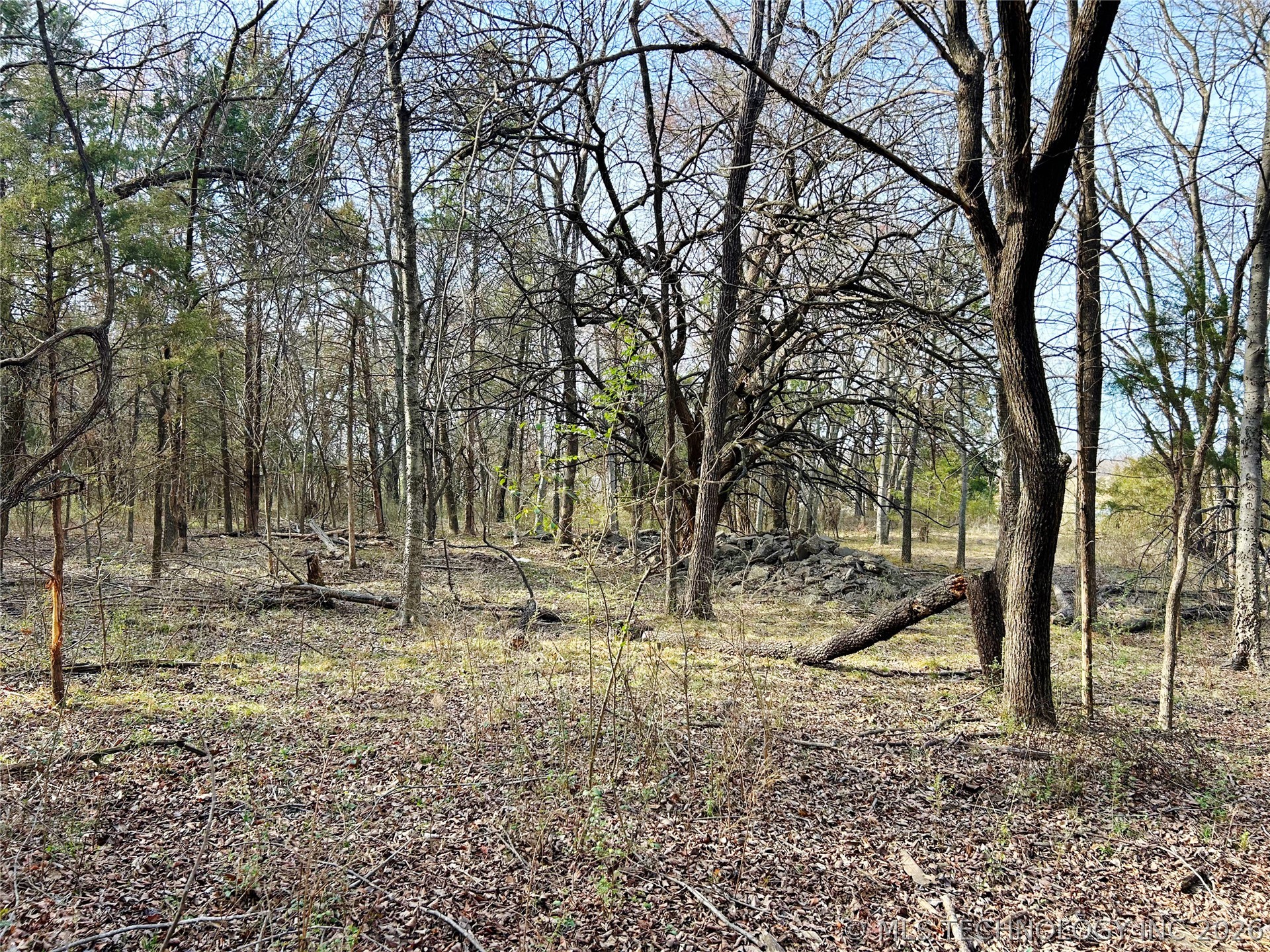 Palm Avenue Property Photo 14