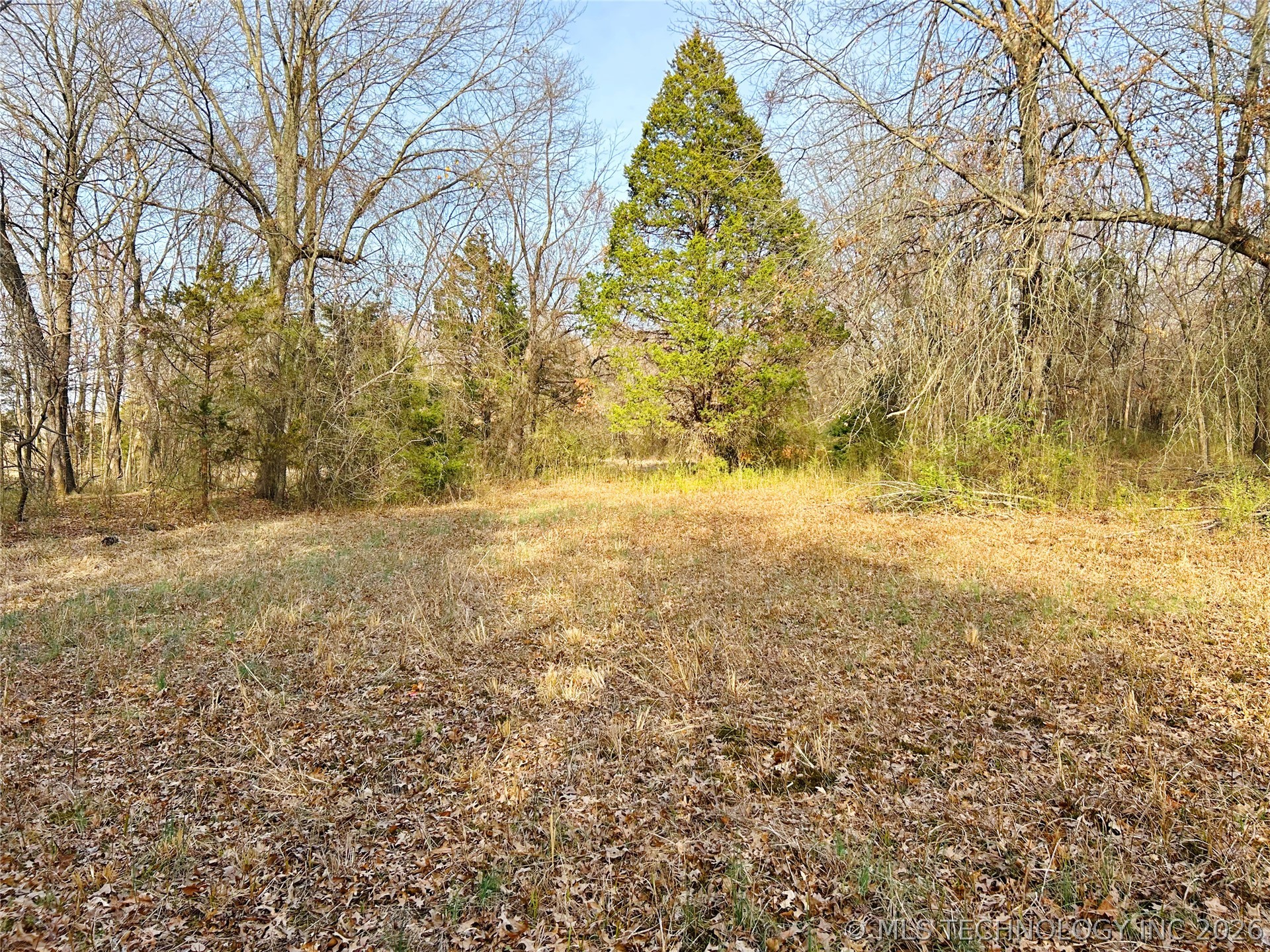 Palm Avenue Property Photo 15