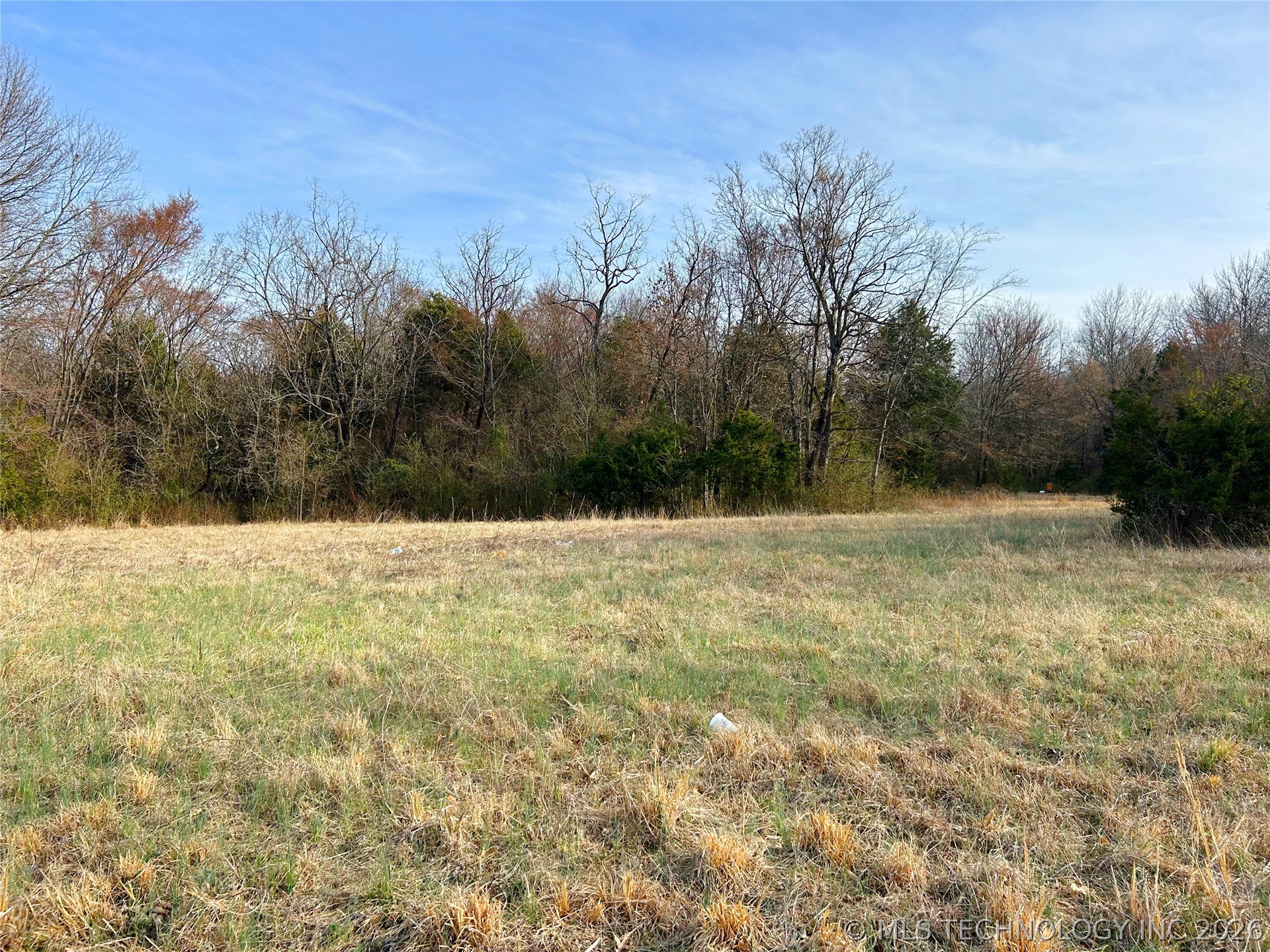 Palm Avenue Property Photo 16