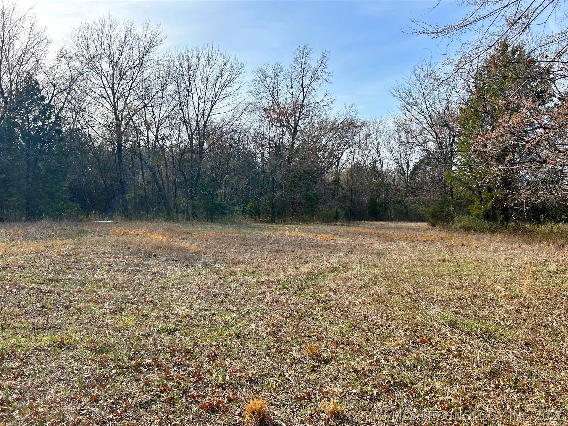Palm Avenue Property Photo 17