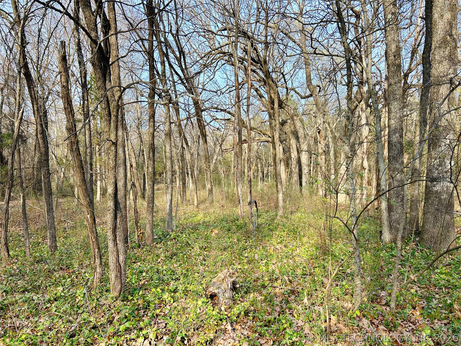 Palm Avenue Property Photo 19