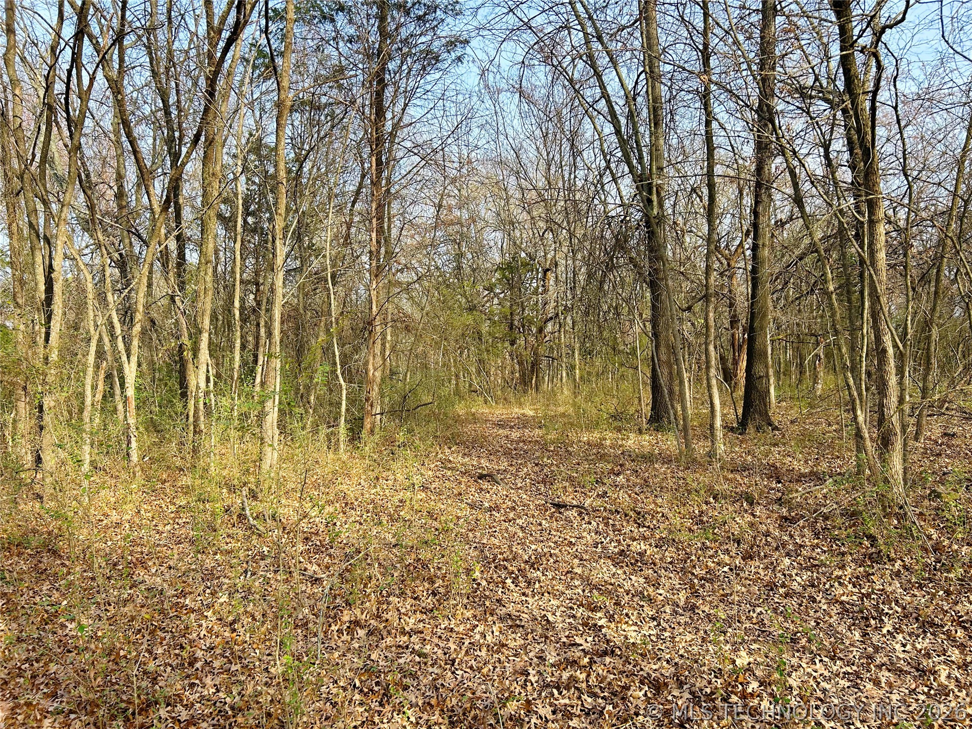 Palm Avenue Property Photo 20