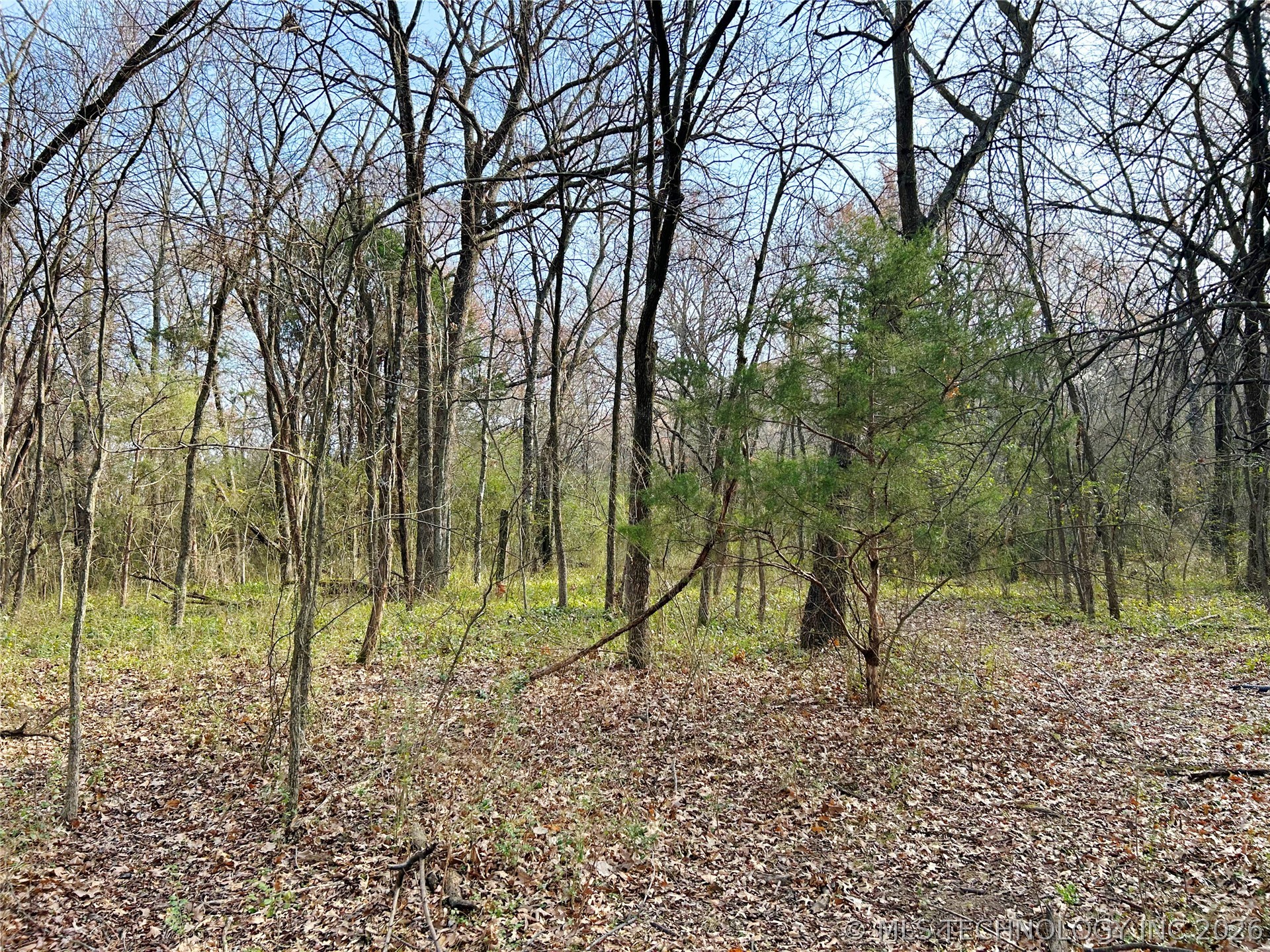 Palm Avenue Property Photo 21