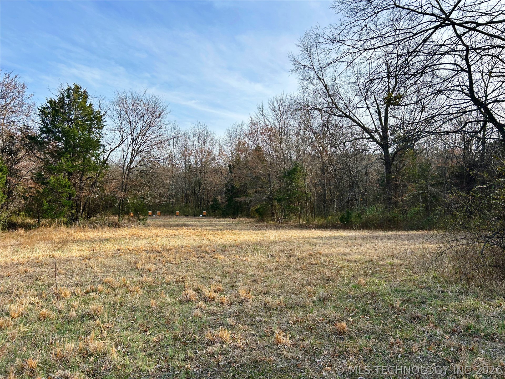 Palm Avenue Property Photo 22