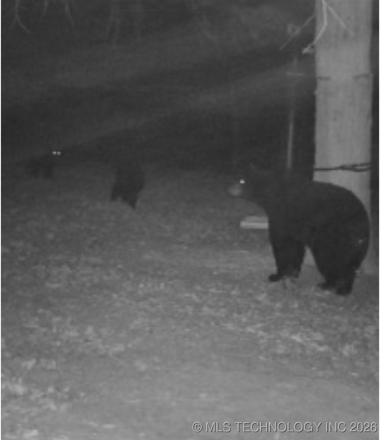 Richard Road Property Photo 6