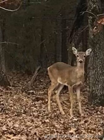 Richard Road Property Photo 7