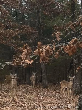 Richard Road Property Photo 8