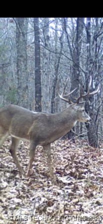 Richard Road Property Photo 9