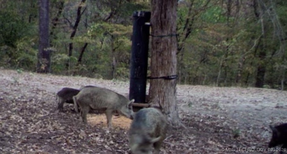 Richard Road Property Photo 10