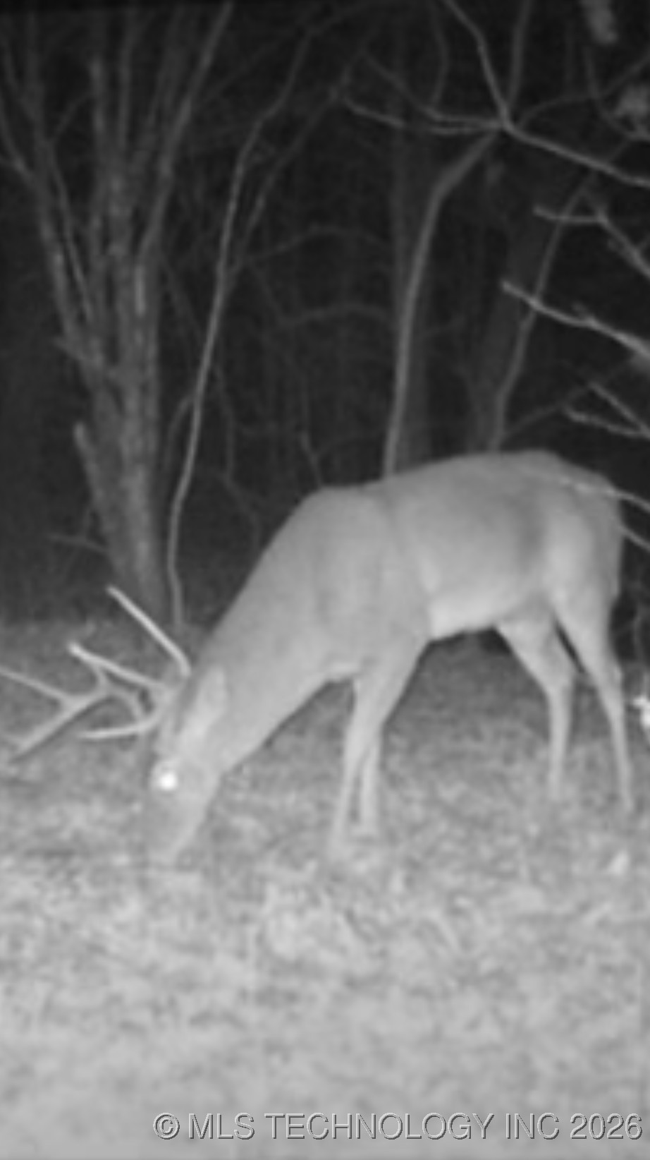 Richard Road Property Photo 11