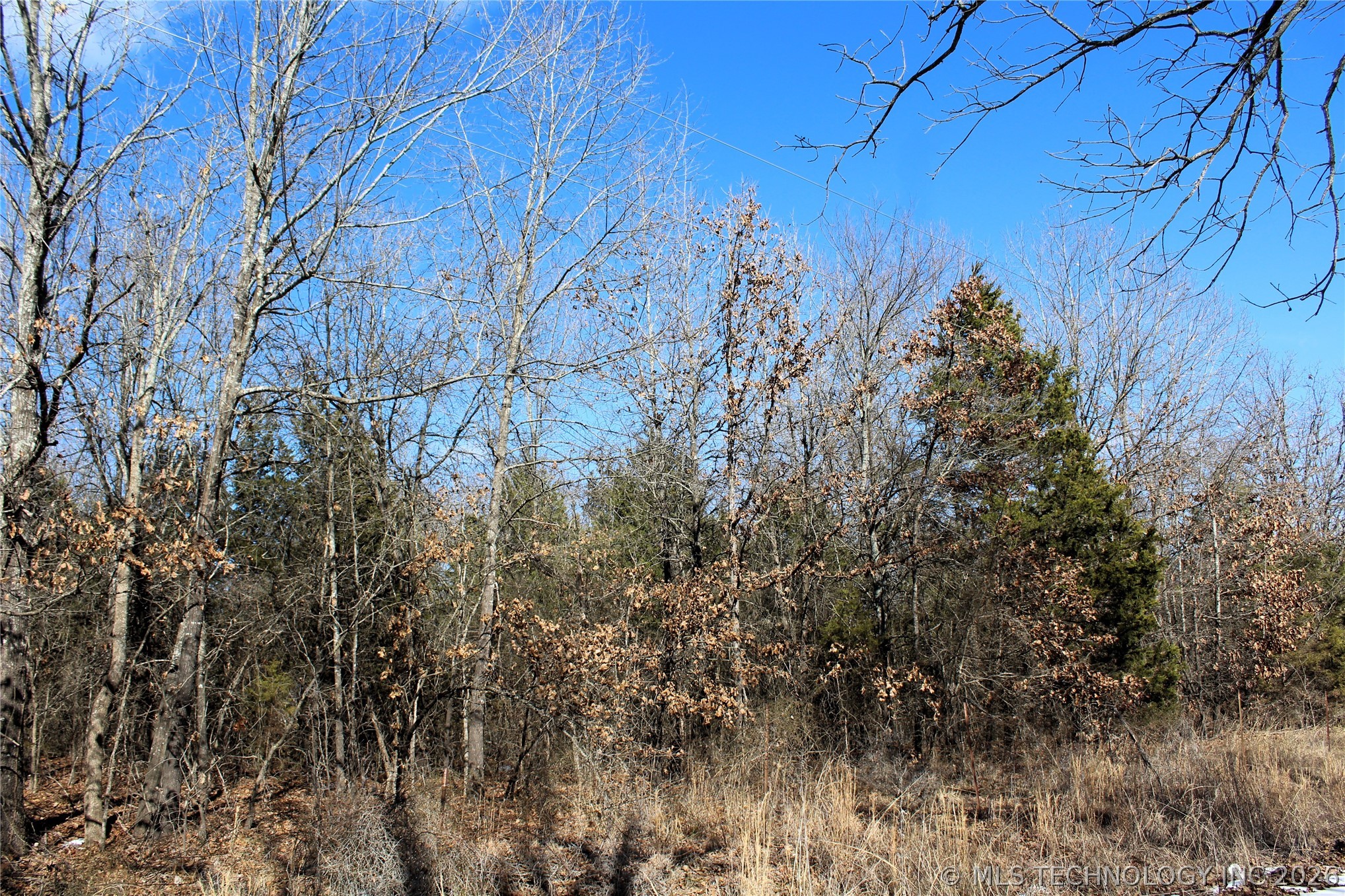 Sandstone Property Photo 4