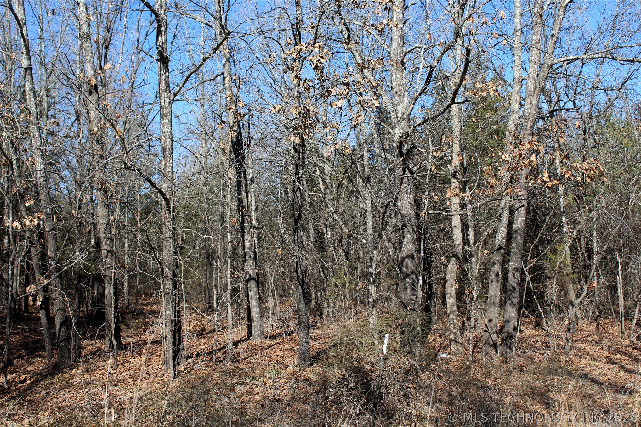 Sandstone Property Photo 15