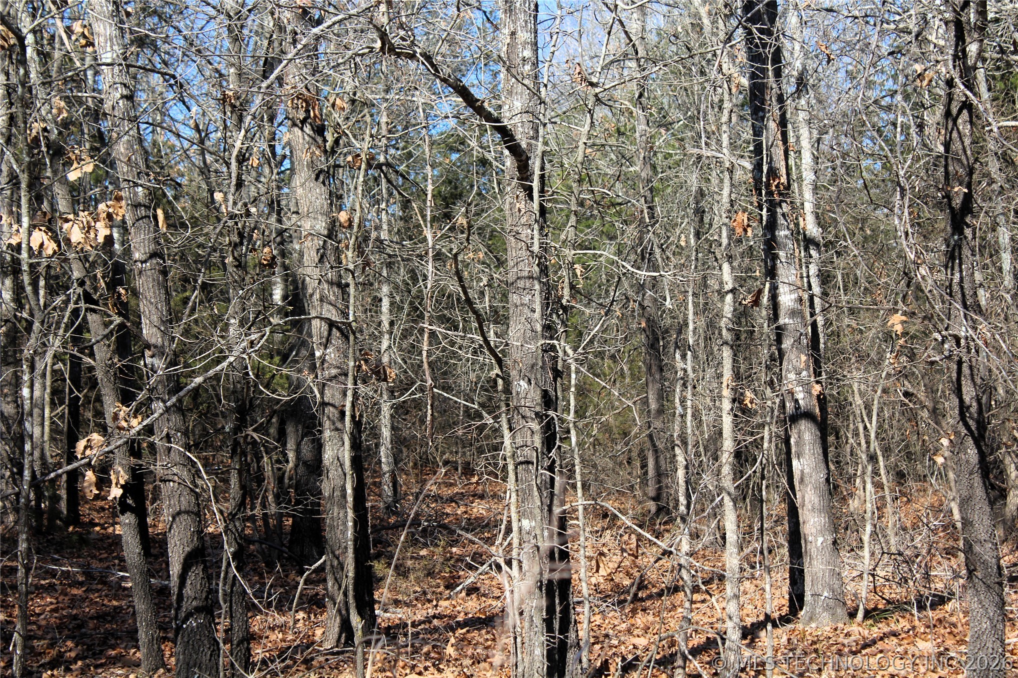 Sandstone Property Photo 16