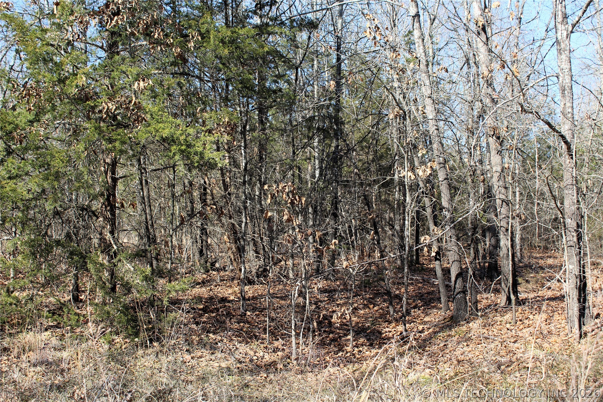 Sandstone Property Photo 17