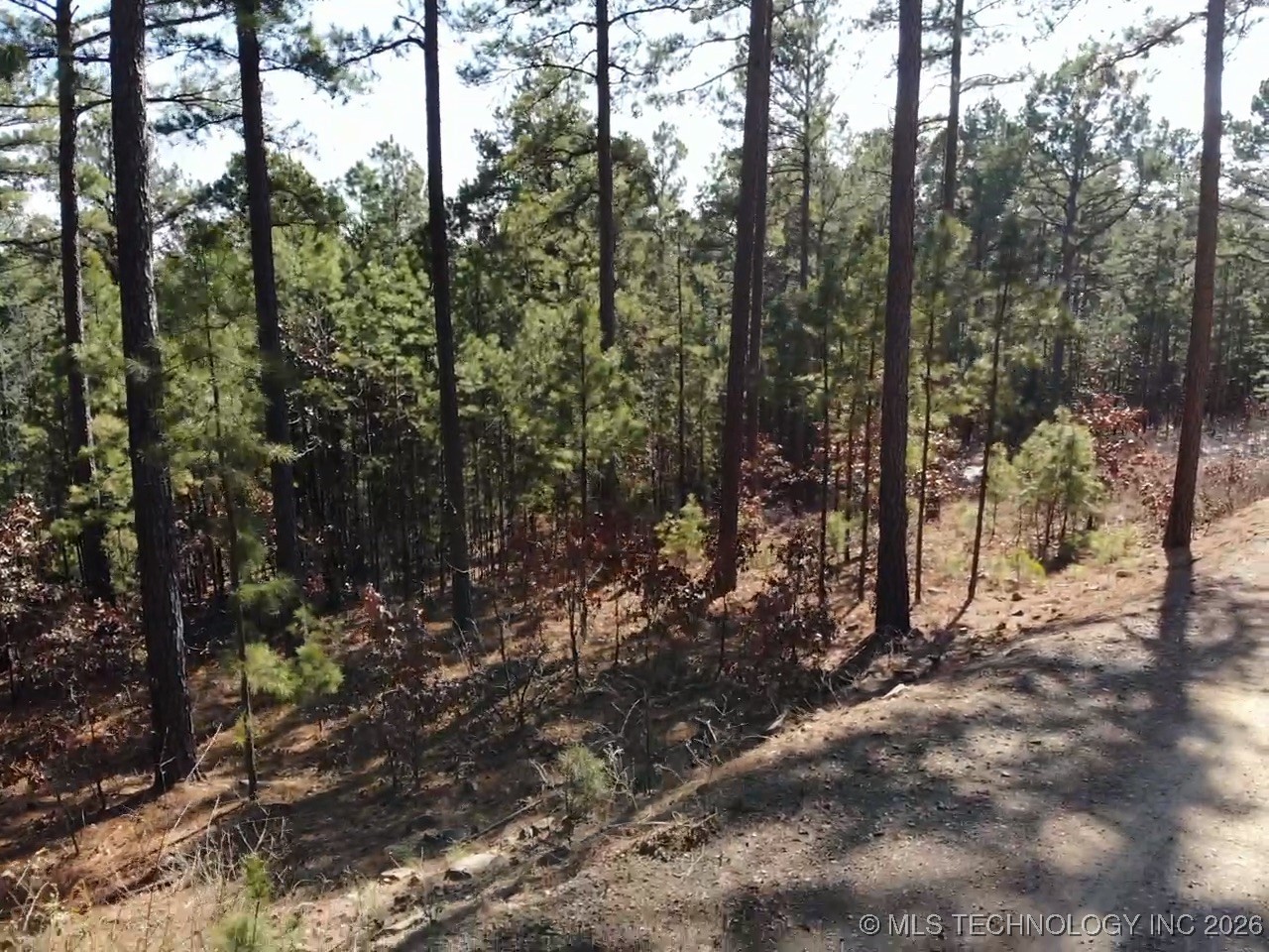 Mountain View Drive Property Photo 5