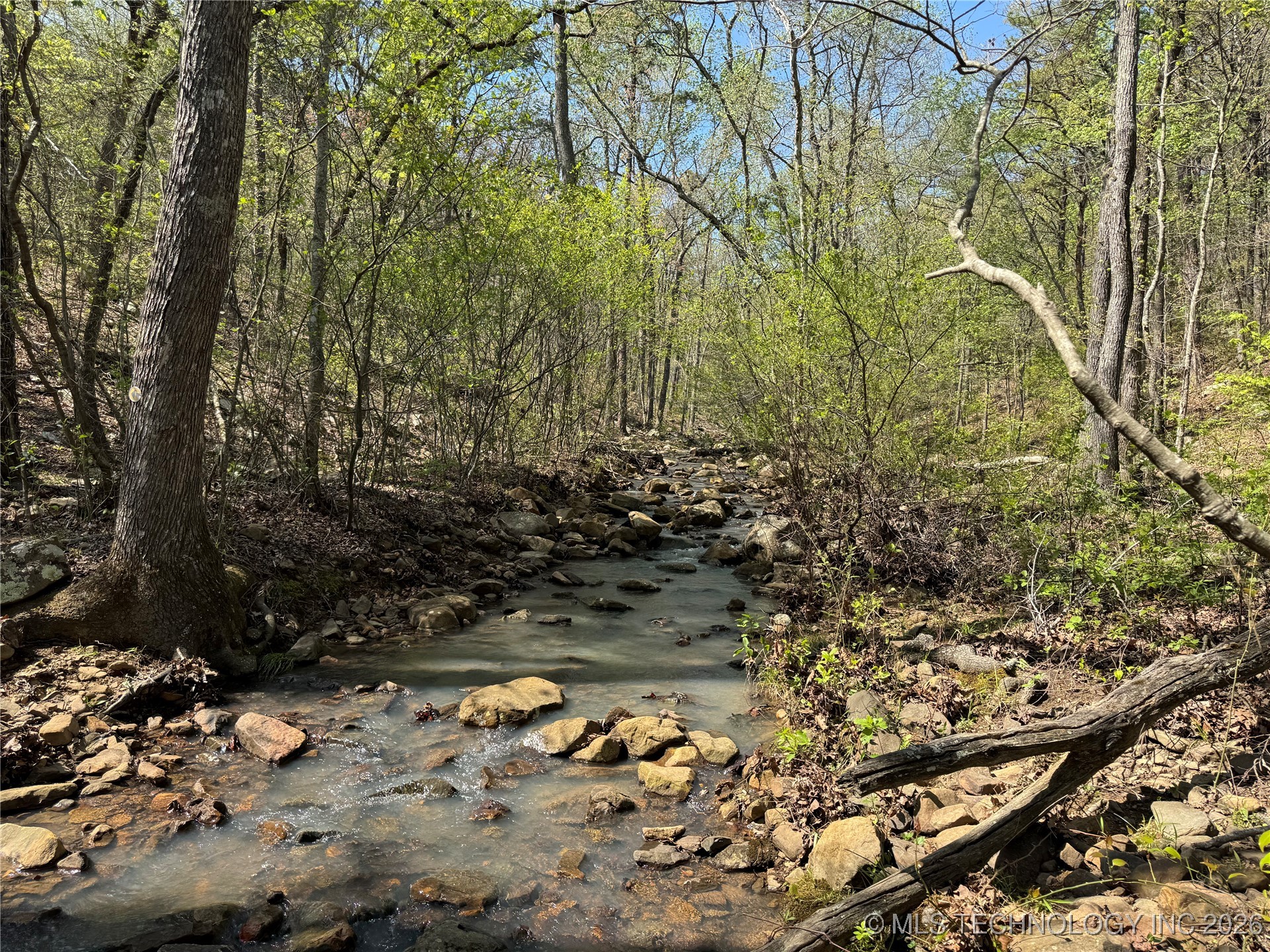 Mountain View Drive Property Photo 17