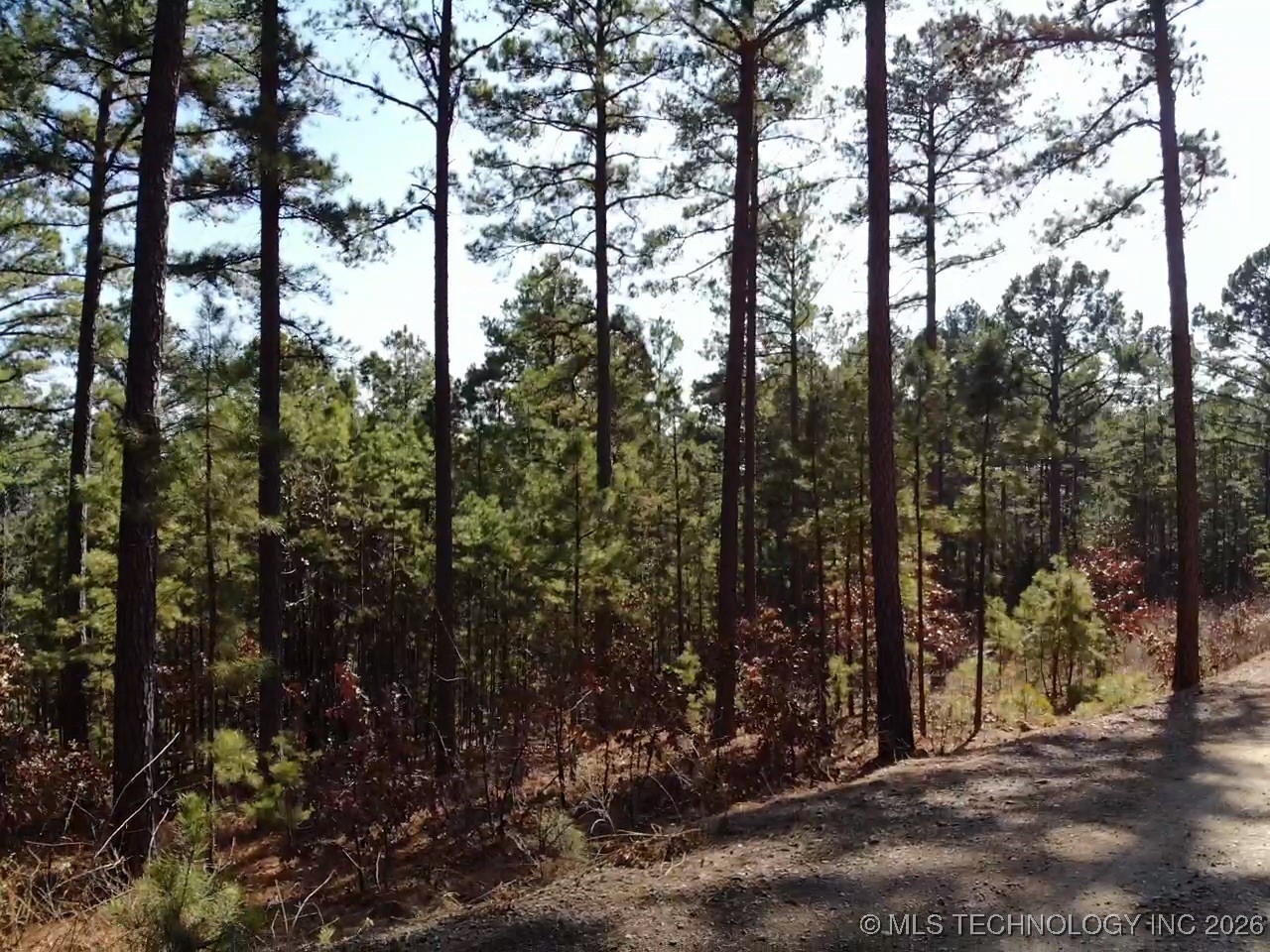 Mountain View Drive Property Photo 28