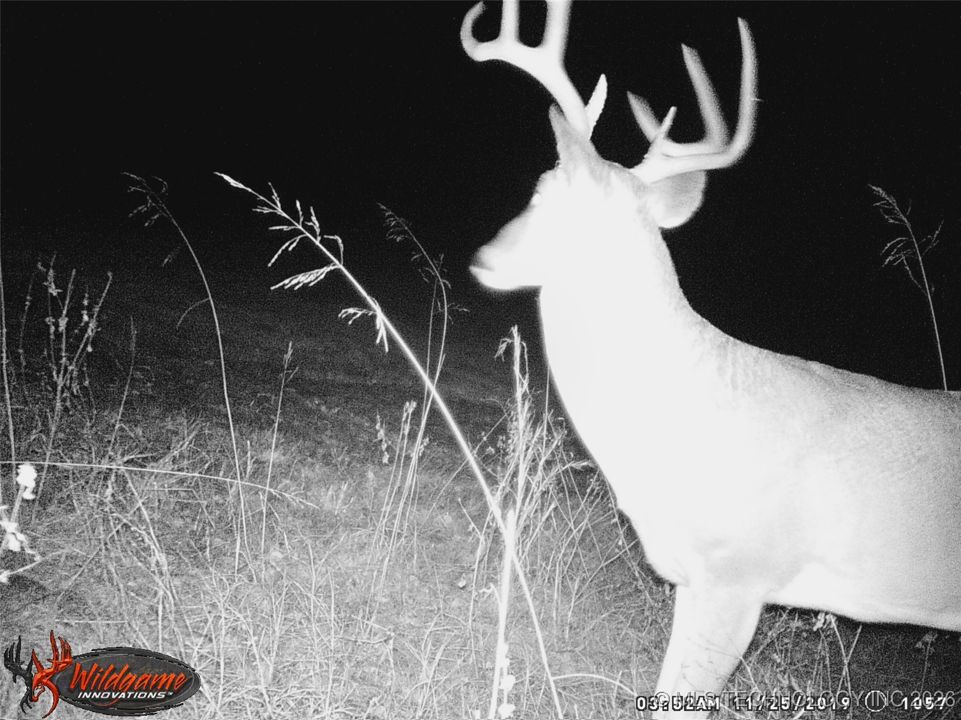 374000 W 1170 Road Property Photo 2