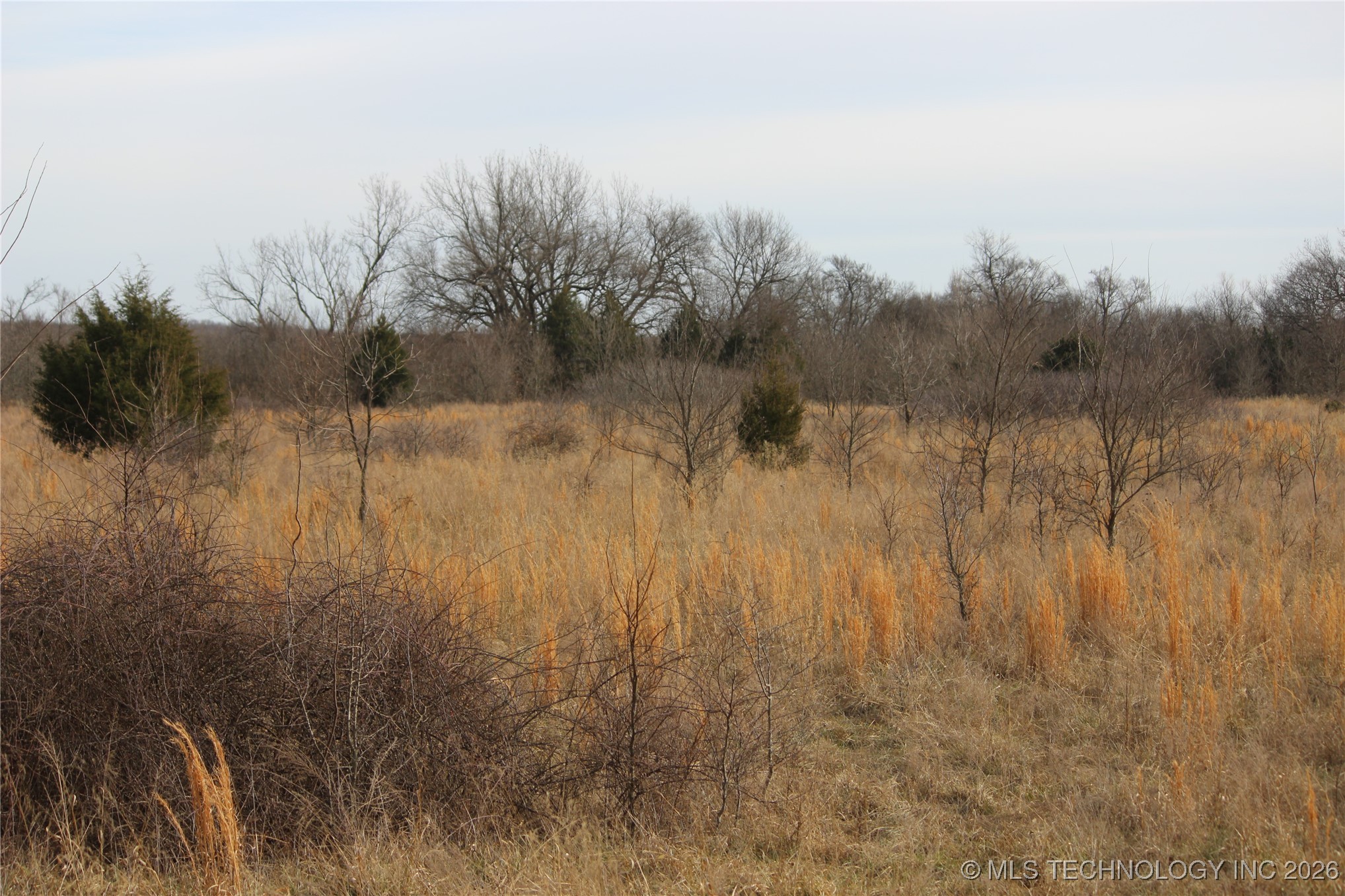 2604016 Property Photo 4