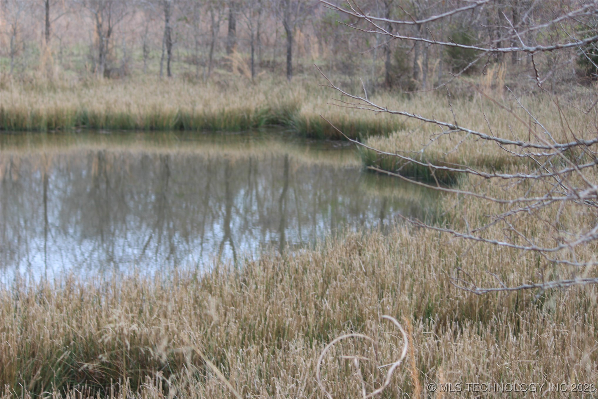 2604016 Property Photo 6