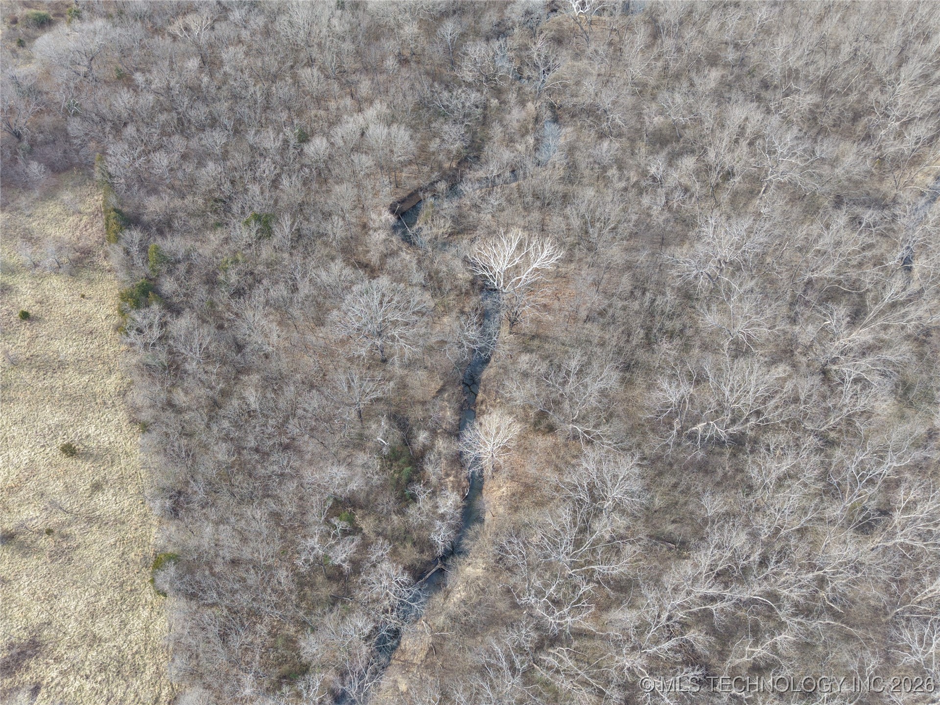 2604016 Property Photo 9