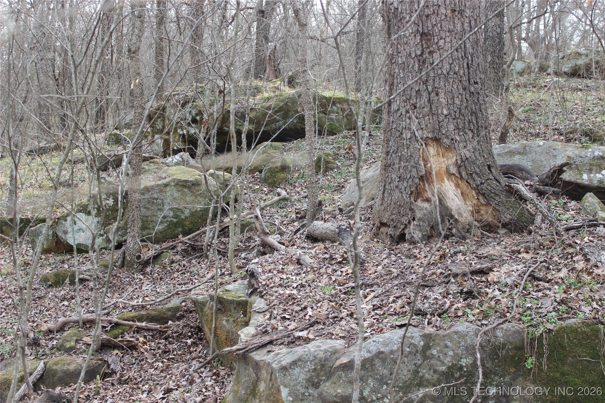 2604016 Property Photo 11