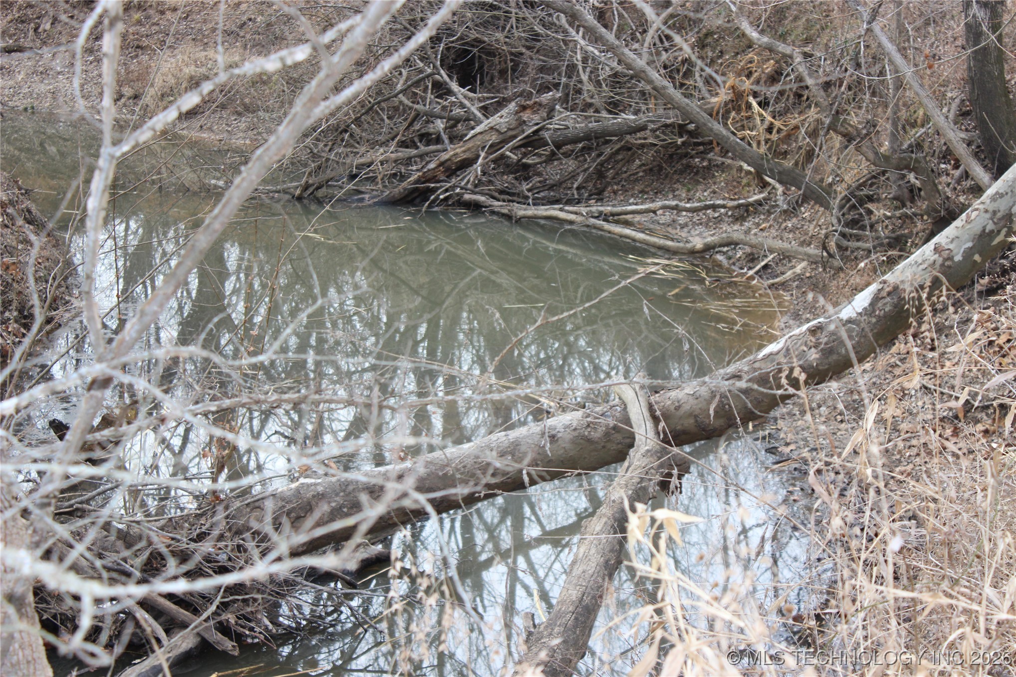 2604016 Property Photo 12